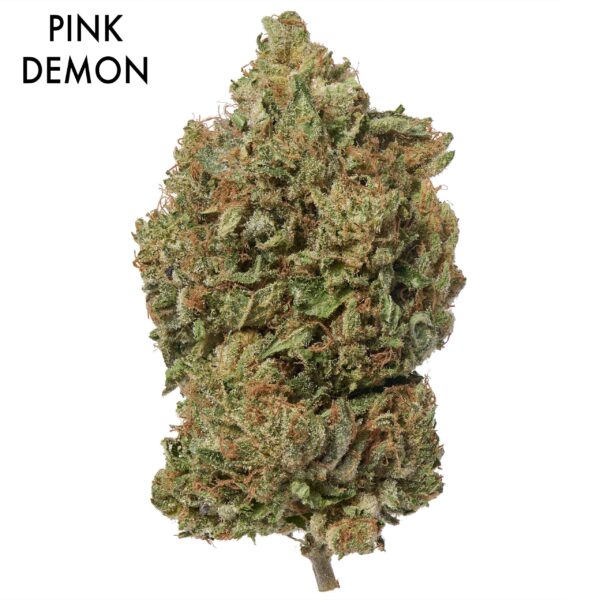 ON SPECIAL FLOWER - Pink Demon