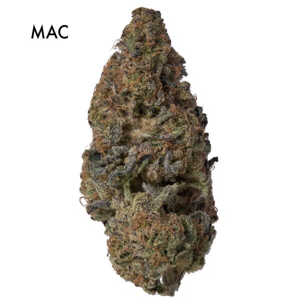 ON SPECIAL FLOWER - MAC