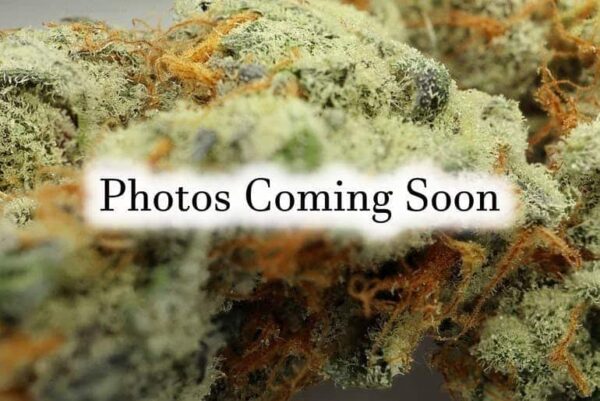 GREEN CASTLE FSE - Grape Ape