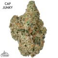 ON SEPCIAL GAS AAAA - Cap Junky