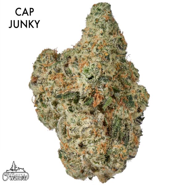 ON SEPCIAL GAS AAAA - Cap Junky
