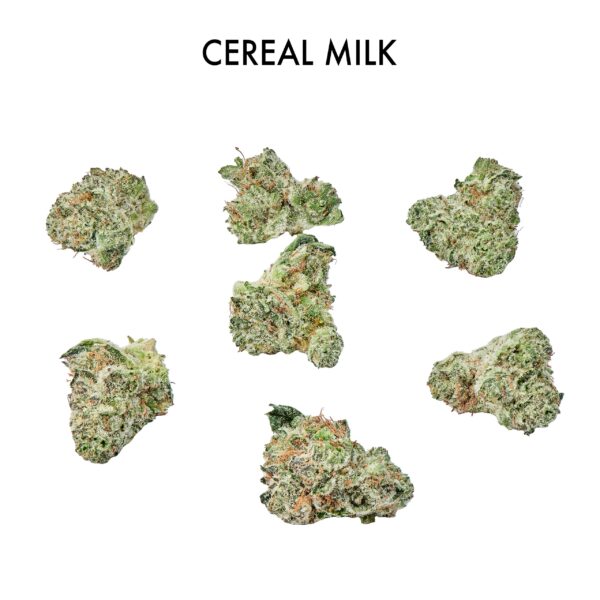 ON SPECIAL FLOWER - Cereal Milk