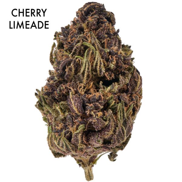 ON SPECIAL FLOWER - Cherry Limeade