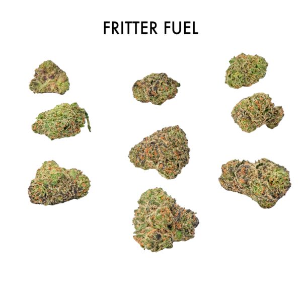 ON SPECIAL FLOWER - Fritter Fuel