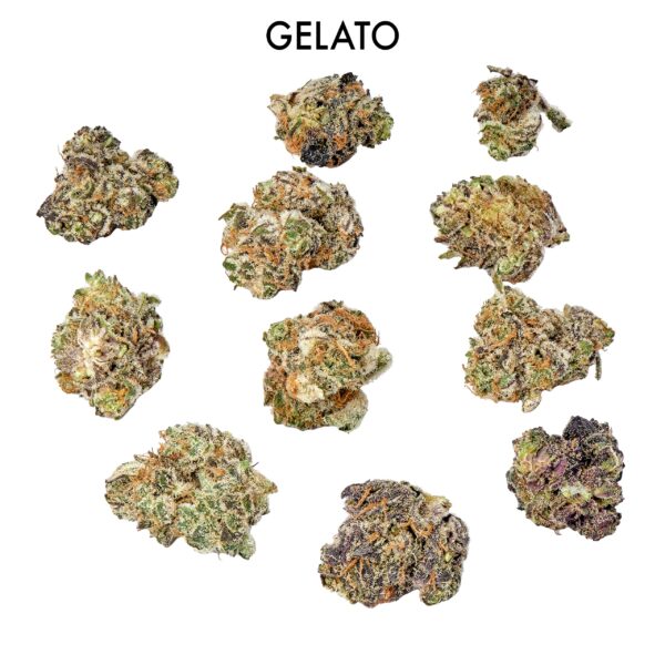 ON SPECIAL FLOWER - Gelato