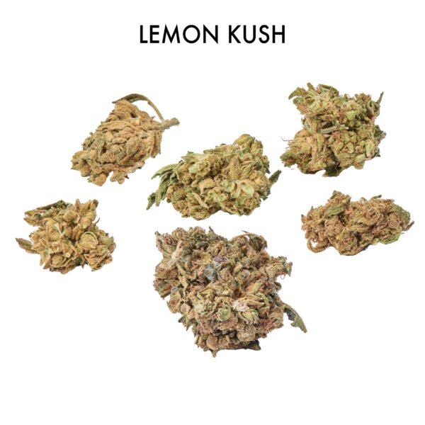 Stacked from 16 images. Method=B (R=7,S=4) ON SPECIAL FLOWER width=