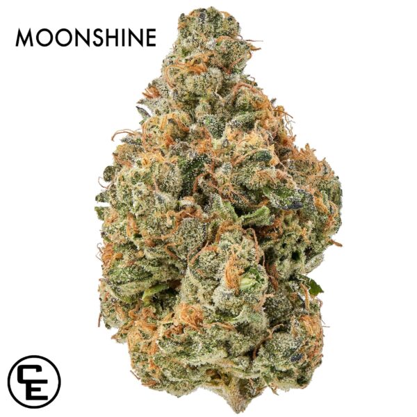 ON SPECIAL GAS AAAA - MOONSHINE