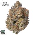 AAAA DESIGNER FLOWER - PINK WAGYU