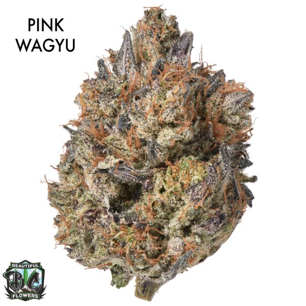 AAAA DESIGNER FLOWER - PINK WAGYU