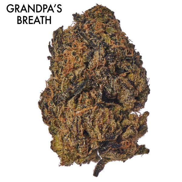 ON SPECIAL FLOWER - Grandpa`s Breath