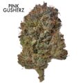 ON SPECIAL GAS AAAA - Pink Gusherz
