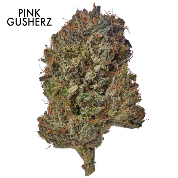 ON SPECIAL GAS AAAA - Pink Gusherz