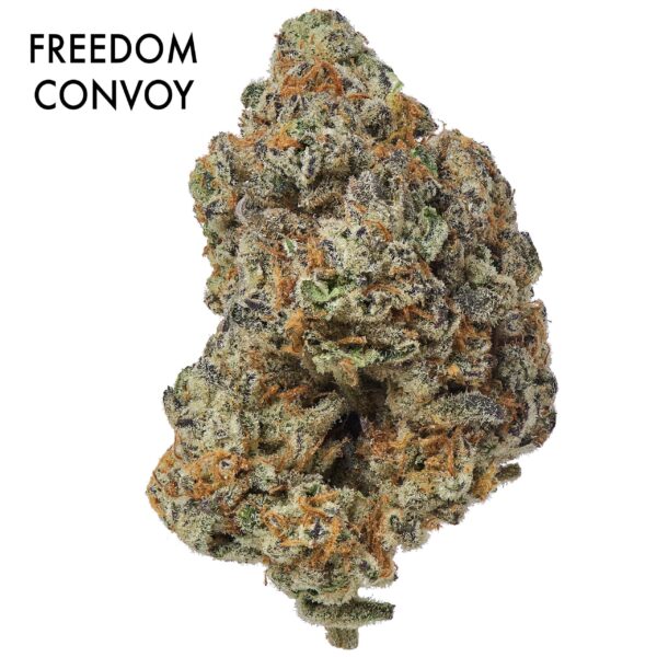 ON SPECIAL GAS AAAA - Freedom Convoy