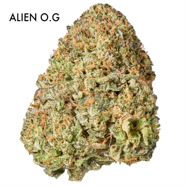 ON SPECIAL FLOWER - Alien O.G