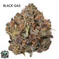 ON SPECIAL GAS AAAA - Black Gas
