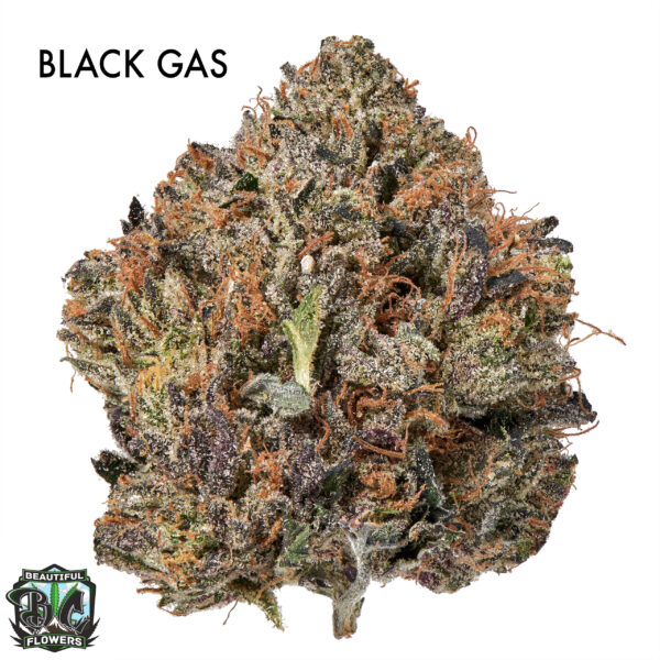 ON SPECIAL GAS AAAA - Black Gas