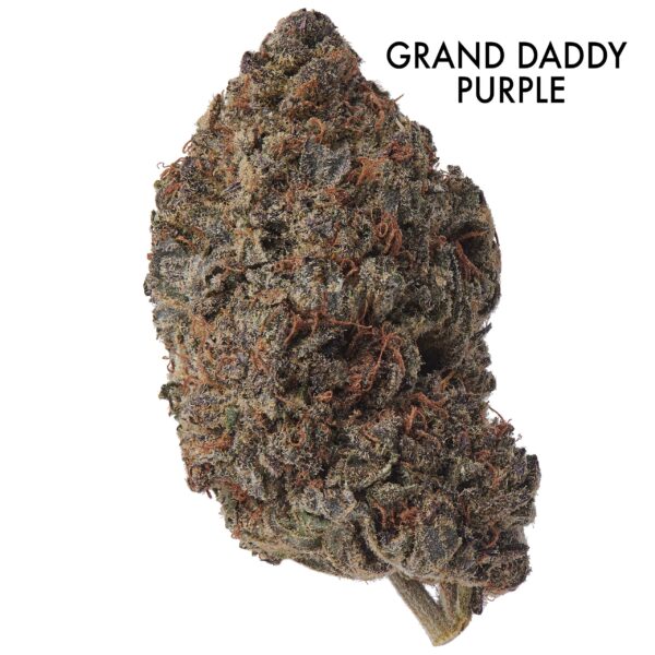 ON SPECIAL FLOWER - Grand Daddy Purple