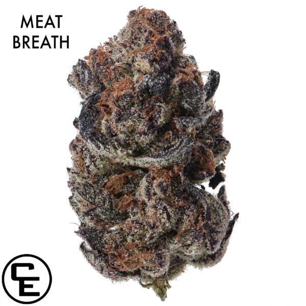 AAAA DESIGNER FLOWER - MEAT BREATH