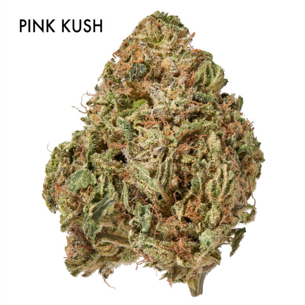 ON SPECIAL FLOWER - Pink Kush