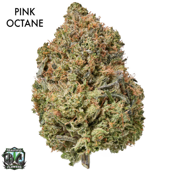 ON SPECIAL GAS AAAA - Pink Octane