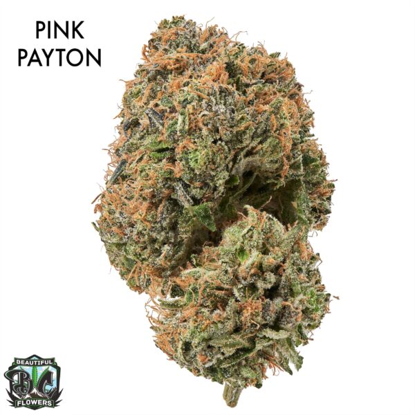 1 OUNCE JAR - PINK PAYTON