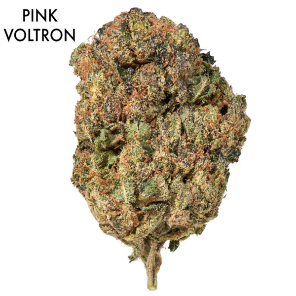 ON SPECIAL FLOWER - Pink Voltron