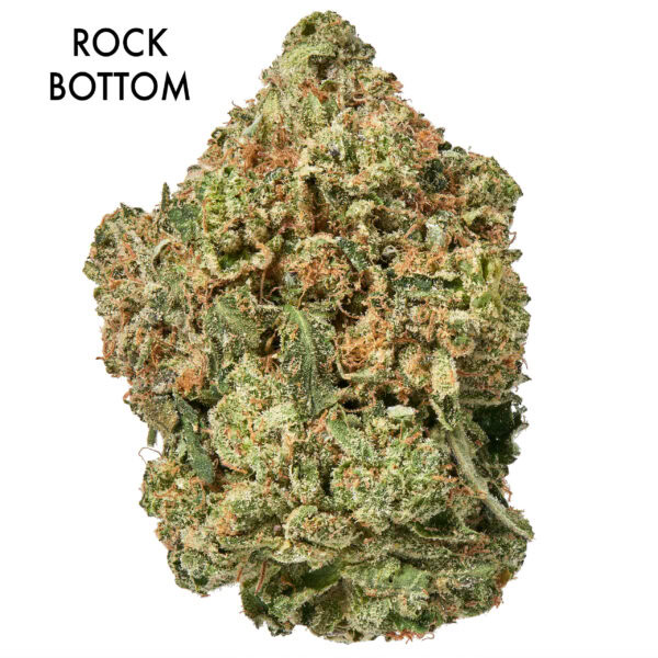 1 OUNCE JAR - ROCK BOTTOM