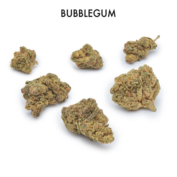 ON SPECIAL FLOWER - Bubblegum