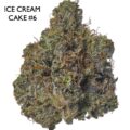 ON SPECIAL GAS AAAA - Ice Cream Cake #6