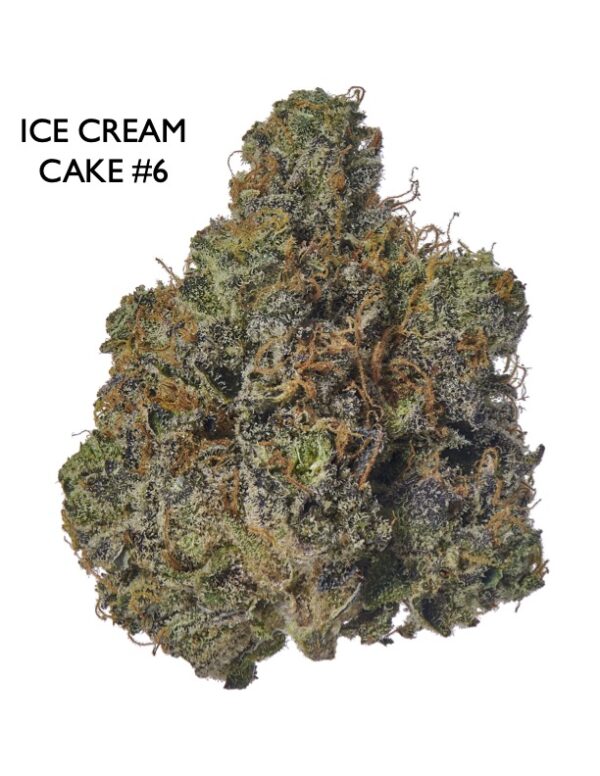 ON SPECIAL GAS AAAA - Ice Cream Cake #6