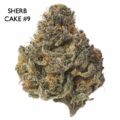ON SPECIAL GAS AAAA - Sherb Cake #9