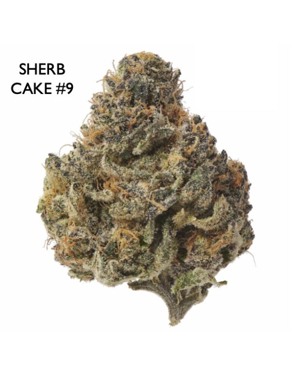 ON SPECIAL GAS AAAA - Sherb Cake #9