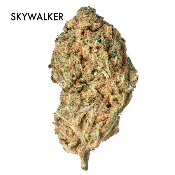ON SPECIAL FLOWER - Skywalker