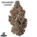 AAAA DESIGNER FLOWER - STRAWBERRY CANNOLI