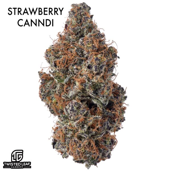 AAAA DESIGNER FLOWER - STRAWBERRY CANNOLI