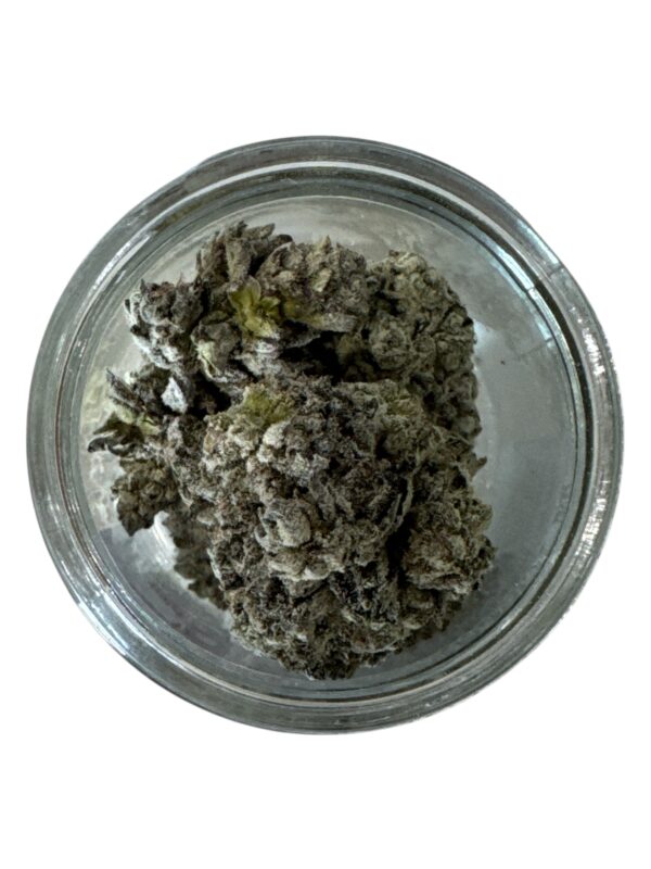 STAR DUST - PINK ROCKSTAR