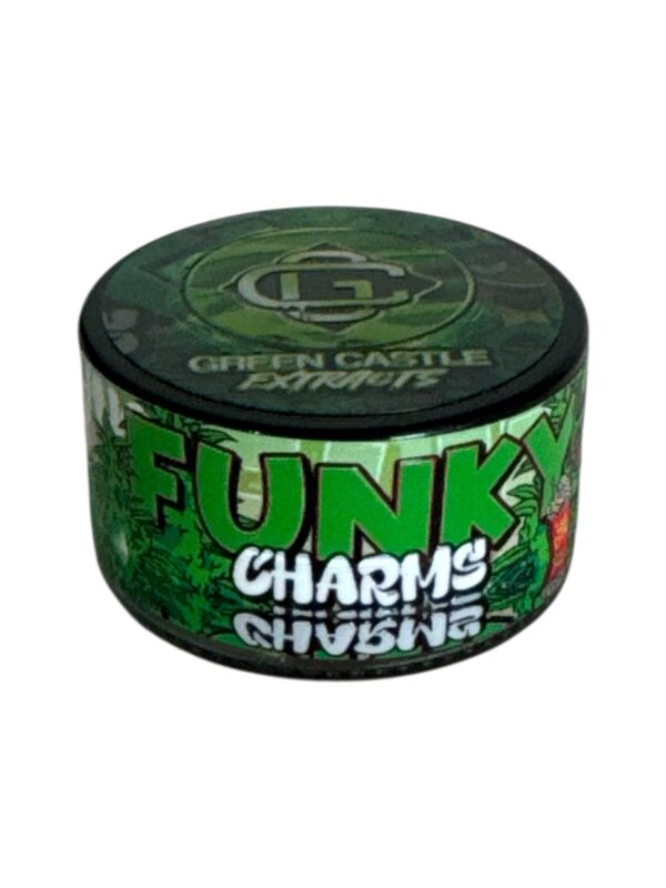 Photoroom_20251009_113745 GREEN CASTLE FSE - Funky Charmz