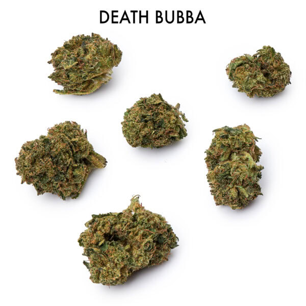 Stacked from 12 images. Method=B (R=7,S=4) ON SPECIAL FLOWER - Death Bubba