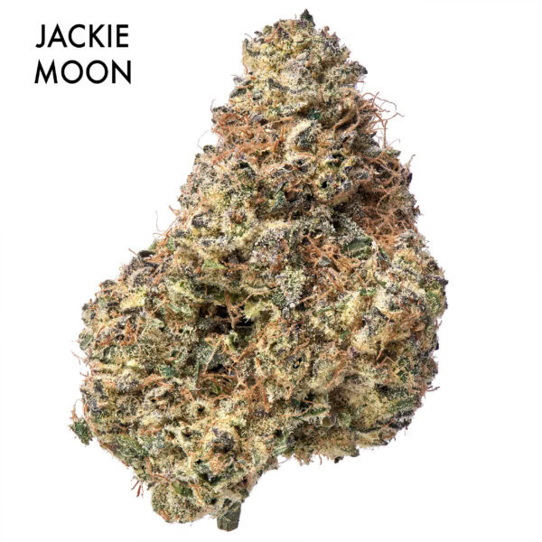 AAAA DESIGNER FLOWER - JACKIE MOON