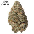 ON SPECIAL GAS AAAA - Sherb Cake #9