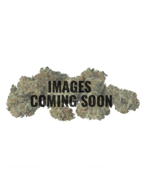 SMALLBUDS-COMINGSOON ON SPECIAL FLOWER - Pink Rozay