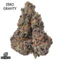 AAAA DESIGNER FLOWER - ZERO GRAVITY