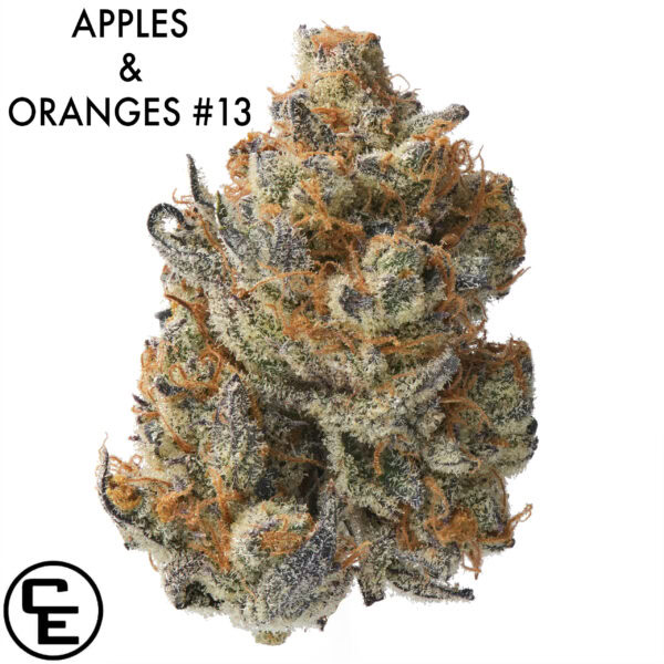 AAAA DESIGNER FLOWER - APPLES & ORANGES #13