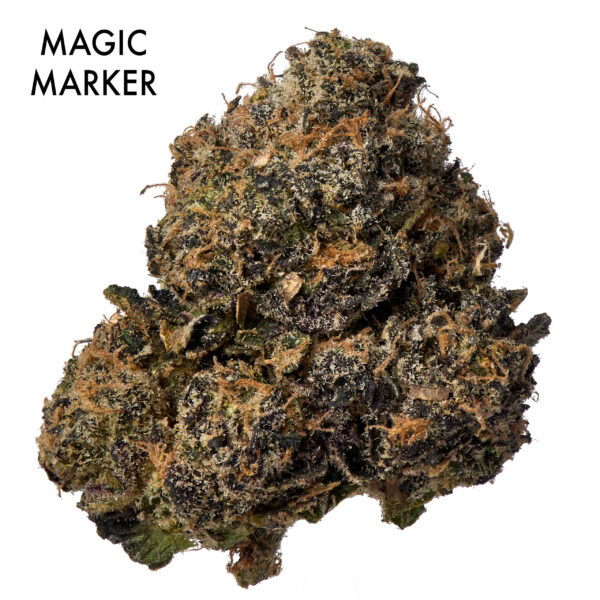 Stacked from 8 images. Method=B (R=7,S=4) ON SPECIAL FLOWER - Magic Marker