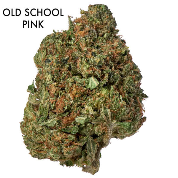 ON SPECIAL FLOWER - Old School Pink