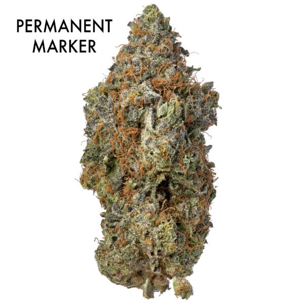 ON SPECIAL GAS AAAA - Permanent Marker