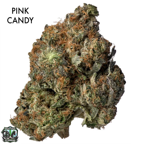ON SPECIAL GAS AAAA - Pink Candy