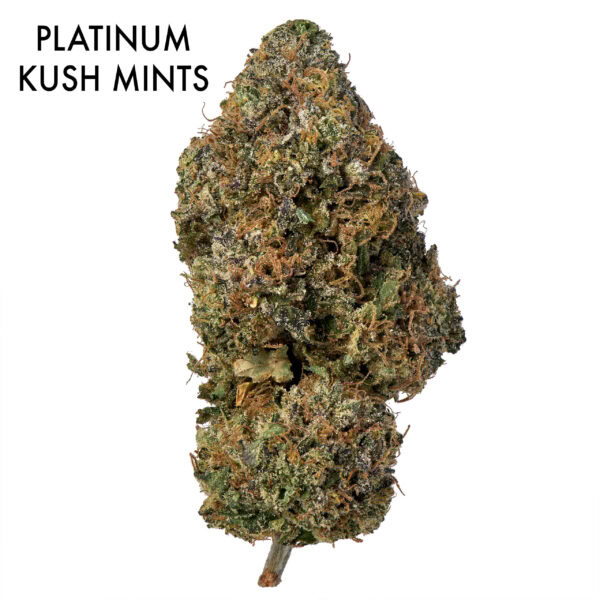 ON SPECIAL FLOWER - Platinum Kush Mints