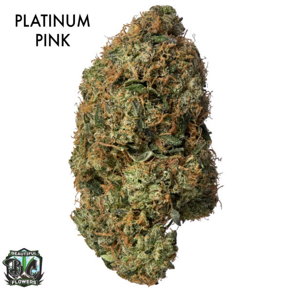 ON SPECIAL GAS AAAA - Platinum Pink