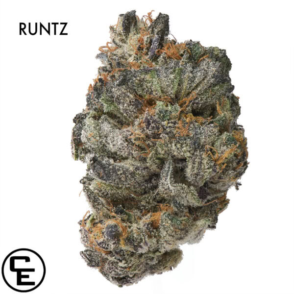 AAAA DESIGNER FLOWER - RUNTZ